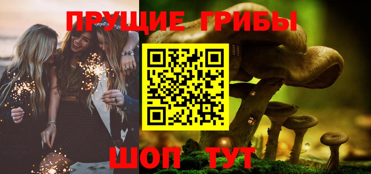 Киселёвск  Псилоцибиновые грибы Psilocybine cubensis  Вход с VPN 